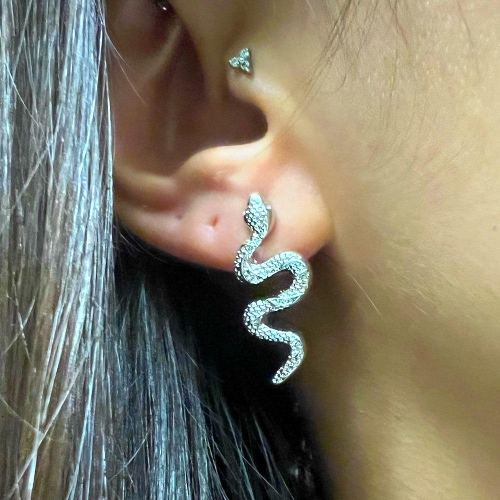 Most Favorite Snake Earrings Silver